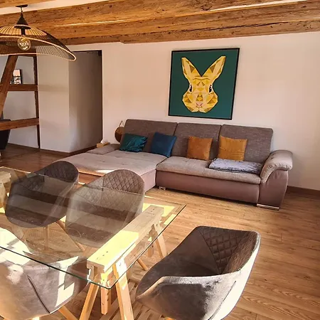 Spacious 100sqm - 40sqm Living - Private Parking Near Strasbourg *