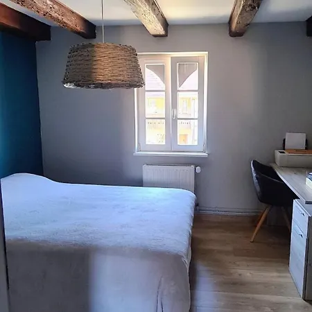 Spacious 100sqm - 40sqm Living - Private Parking Near Strasbourg Lejlighed Furdenheim