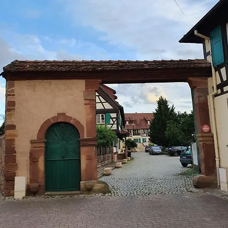 Daire Spacious 100sqm - 40sqm Living - Private Parking Near Strasbourg