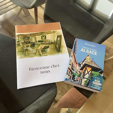 Lejlighed Spacious 100sqm - 40sqm Living - Private Parking Near Strasbourg *