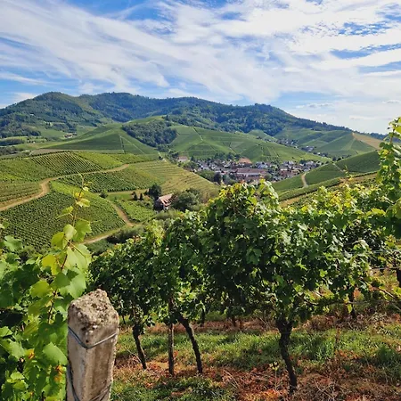 Spacious 100sqm - 40sqm Living - Private Parking Near Strasbourg * Furdenheim