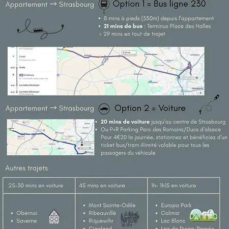 Spacious 100sqm - 40sqm Living - Private Parking Near Strasbourg