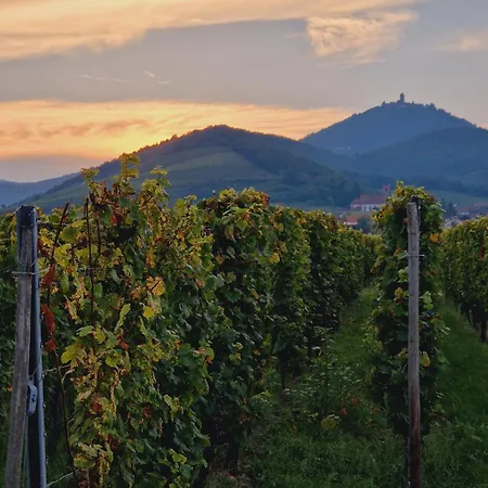 Spacious 100sqm - 40sqm Living - Private Parking Near Strasbourg Lejlighed Furdenheim